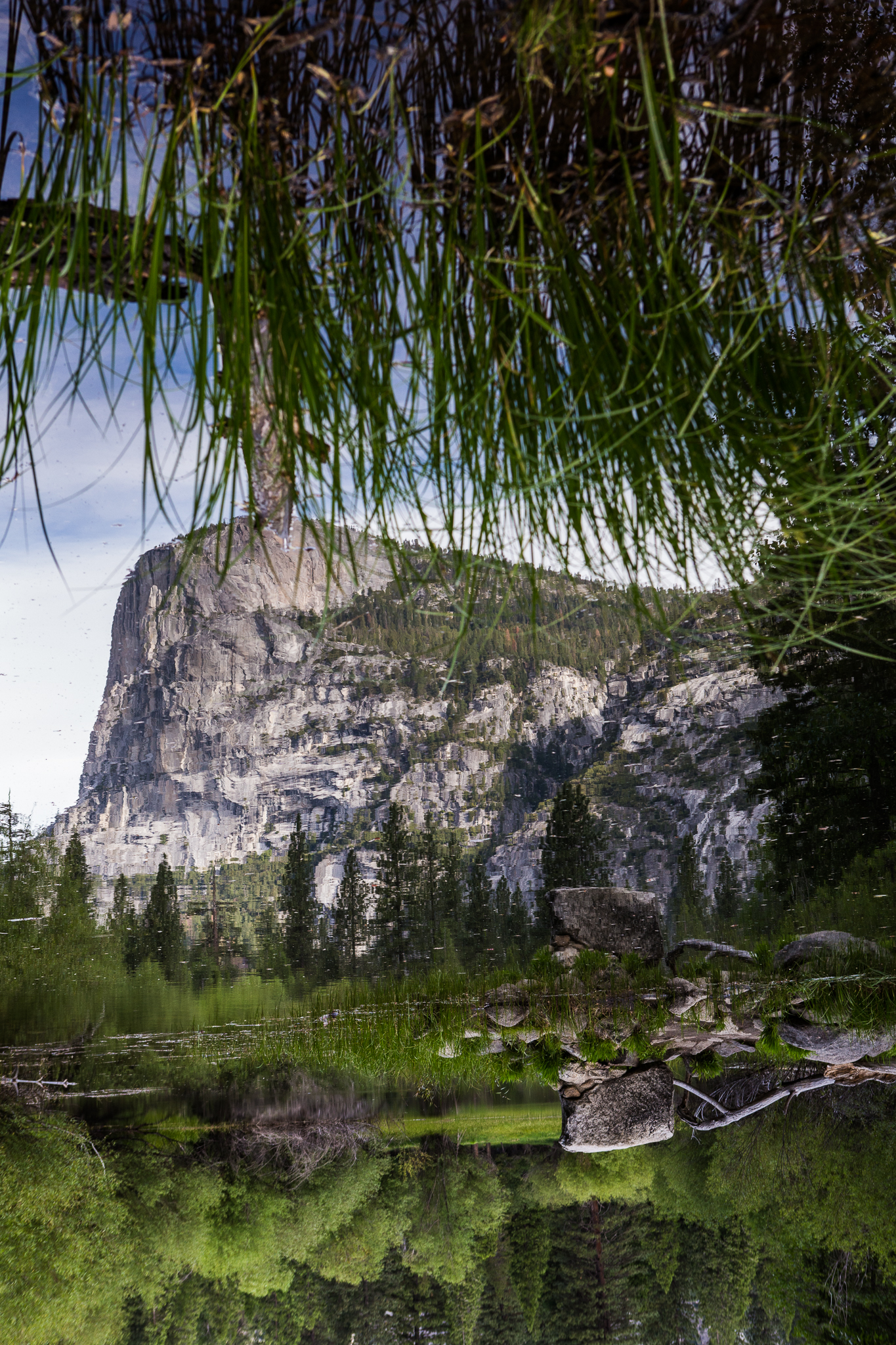 yosemite-9514.jpg