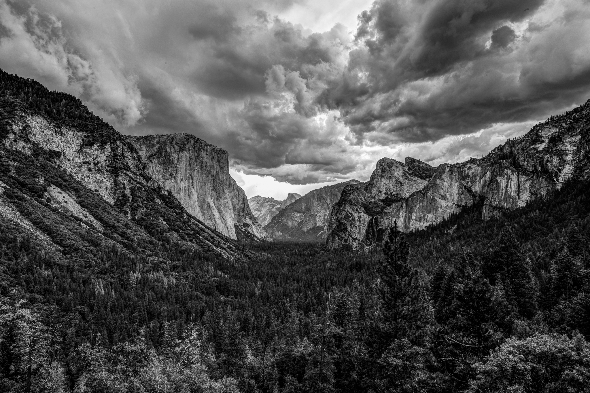 yosemite-9610_1_2.jpg