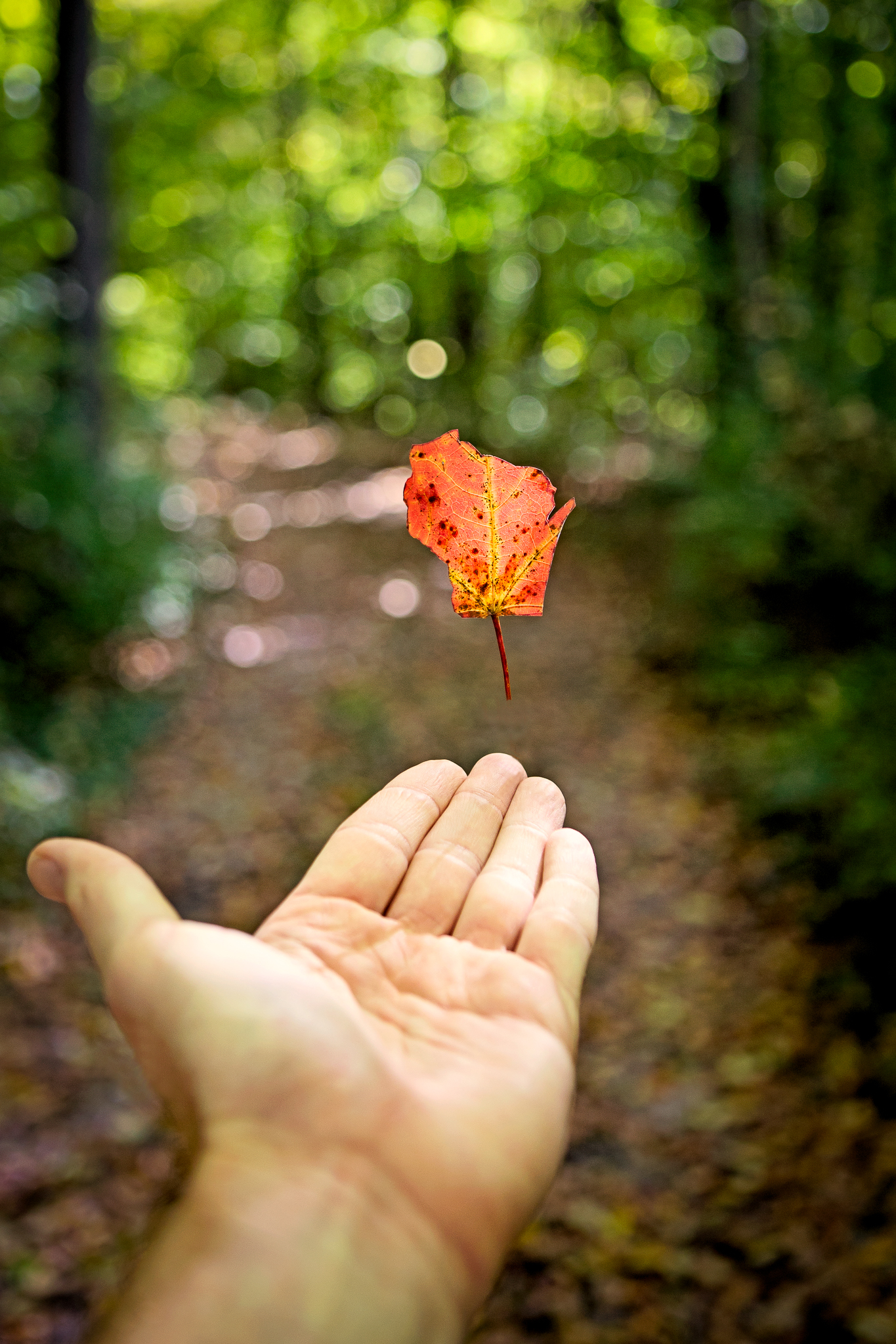 IMG_7995-Edit.jpg
