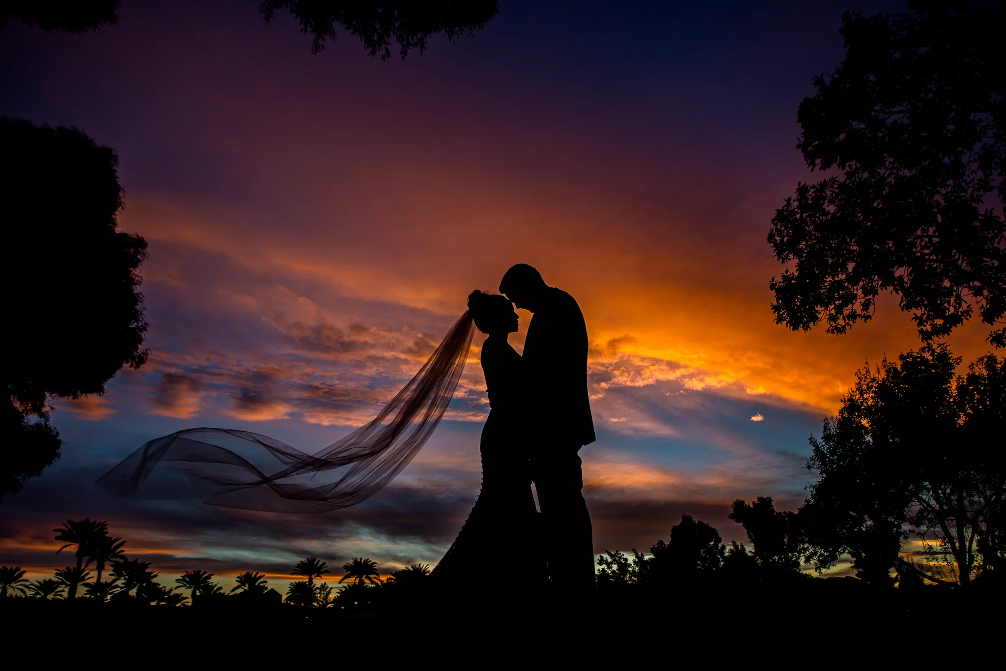 IMG_9762-Edit-2.jpg