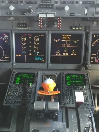 Pilot_Zippy_wings04.jpg