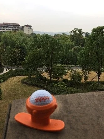 Zippy at the Hilton. Wuhan, China
