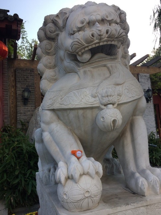 Zippy_beijing_guardingtheworldlion.jpg