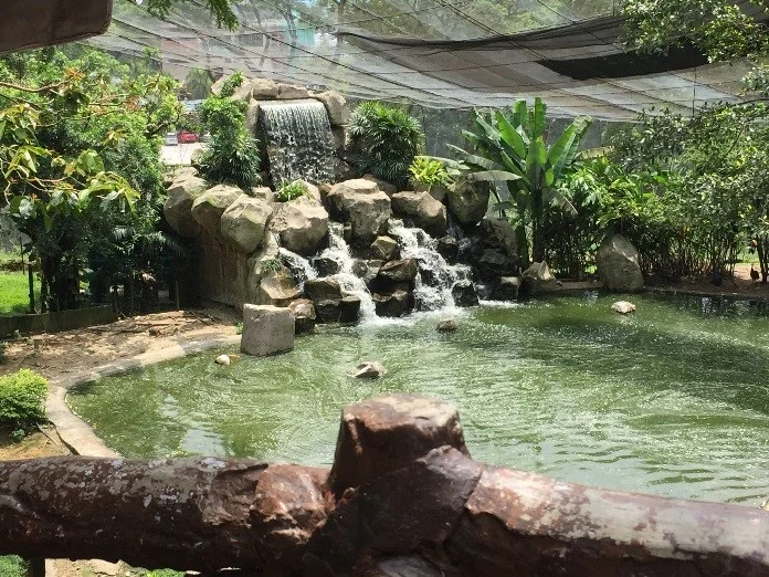 Zippy_KL_park_03.jpg