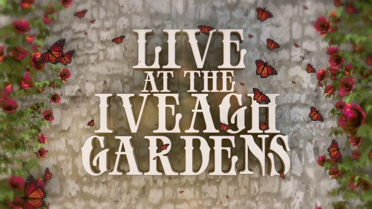 Live at Iveagh Garden Summer Lineup 2012 Promo