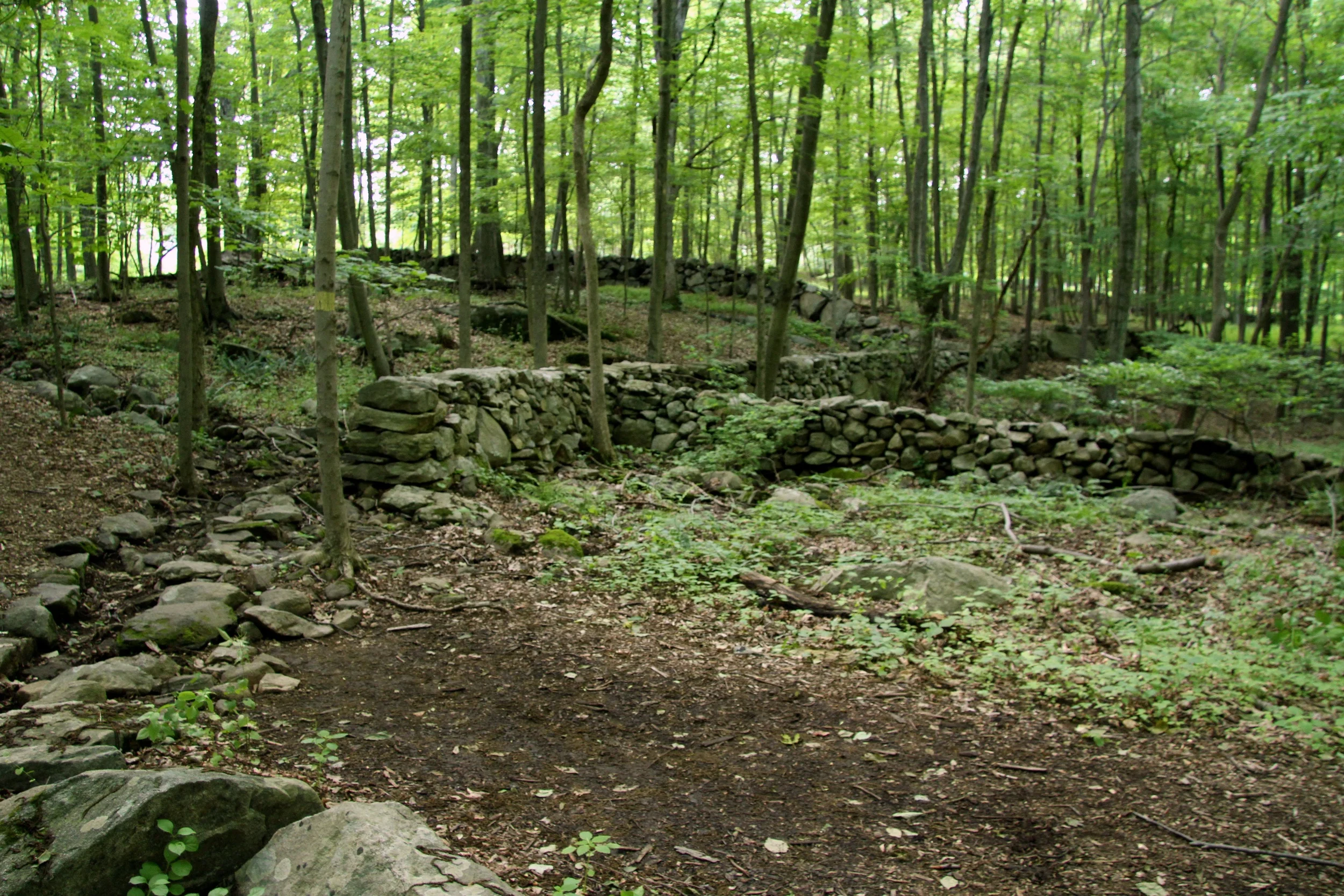 IMG_0282.jpg