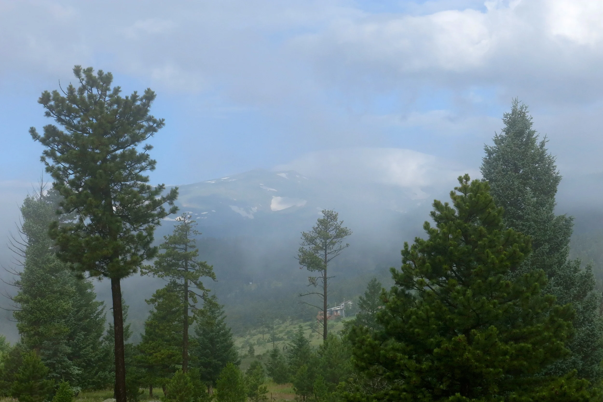 IMG_0216.jpg
