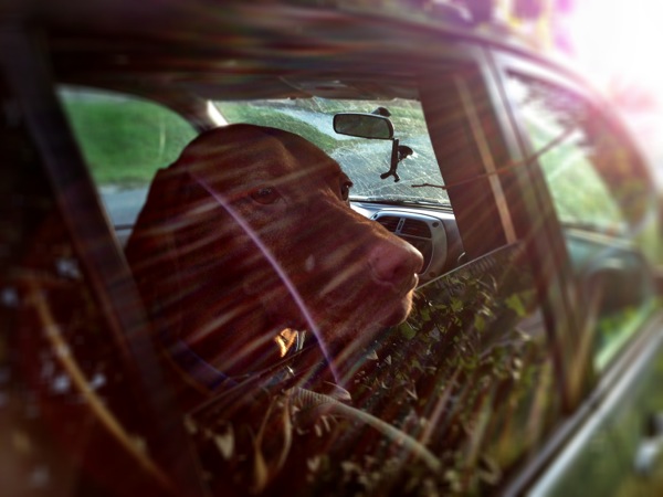 iphone-20120930230643-1.jpg