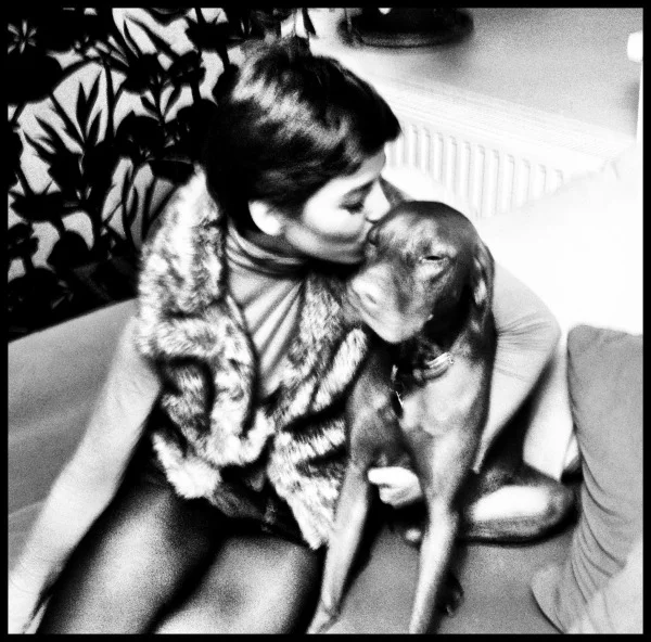 NÓRI HÓNALJKUTYÁJA