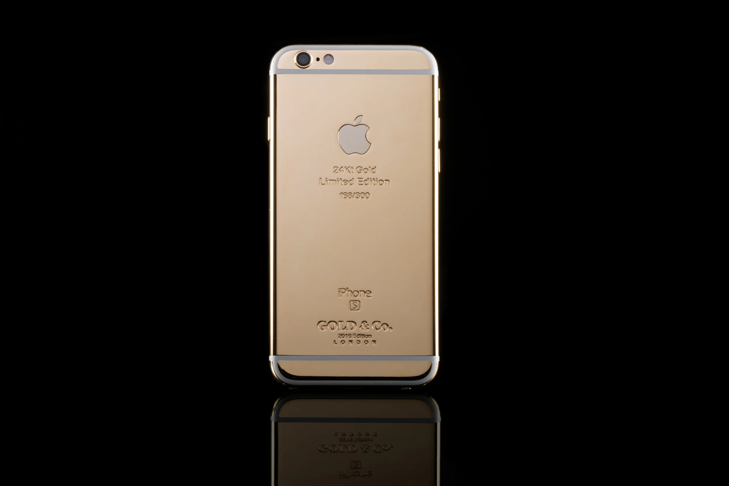 WhiteGoldPlate_6s_6.jpg