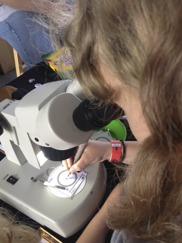 Genius STEAM idea: drawing with a microscope