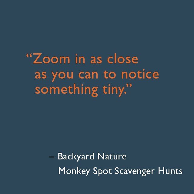 Monkey Spot Scavenger Hunts make it easy to explore outdoors. 🌎 Our most popular hunt, Backyard Nature, will lead you to discoveries right outside your front door. 🌱
.
.
.
#earthday #scavengerhunt #monkeyspot #backyardnature #familyfun