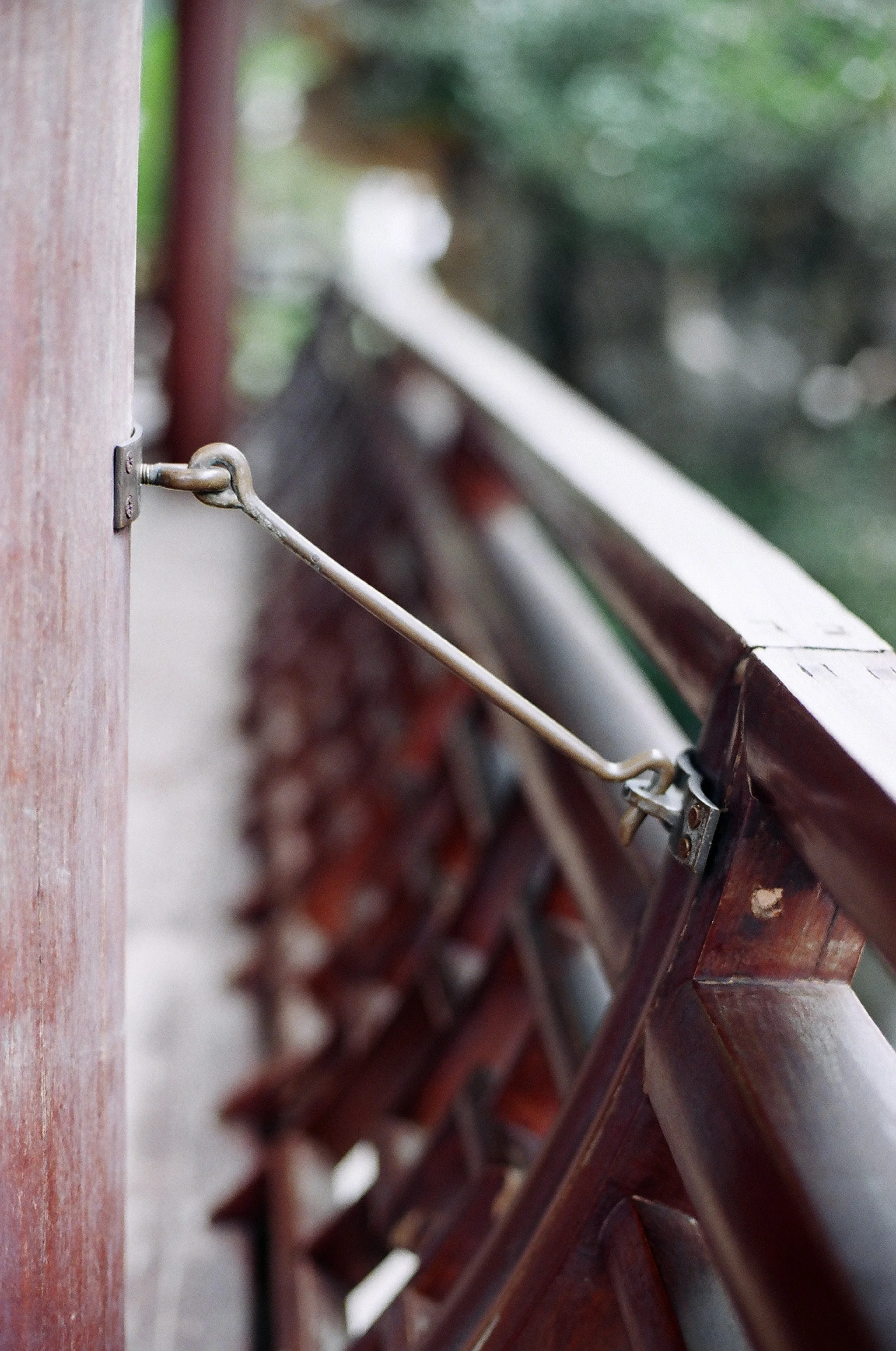 49680009-b.jpg