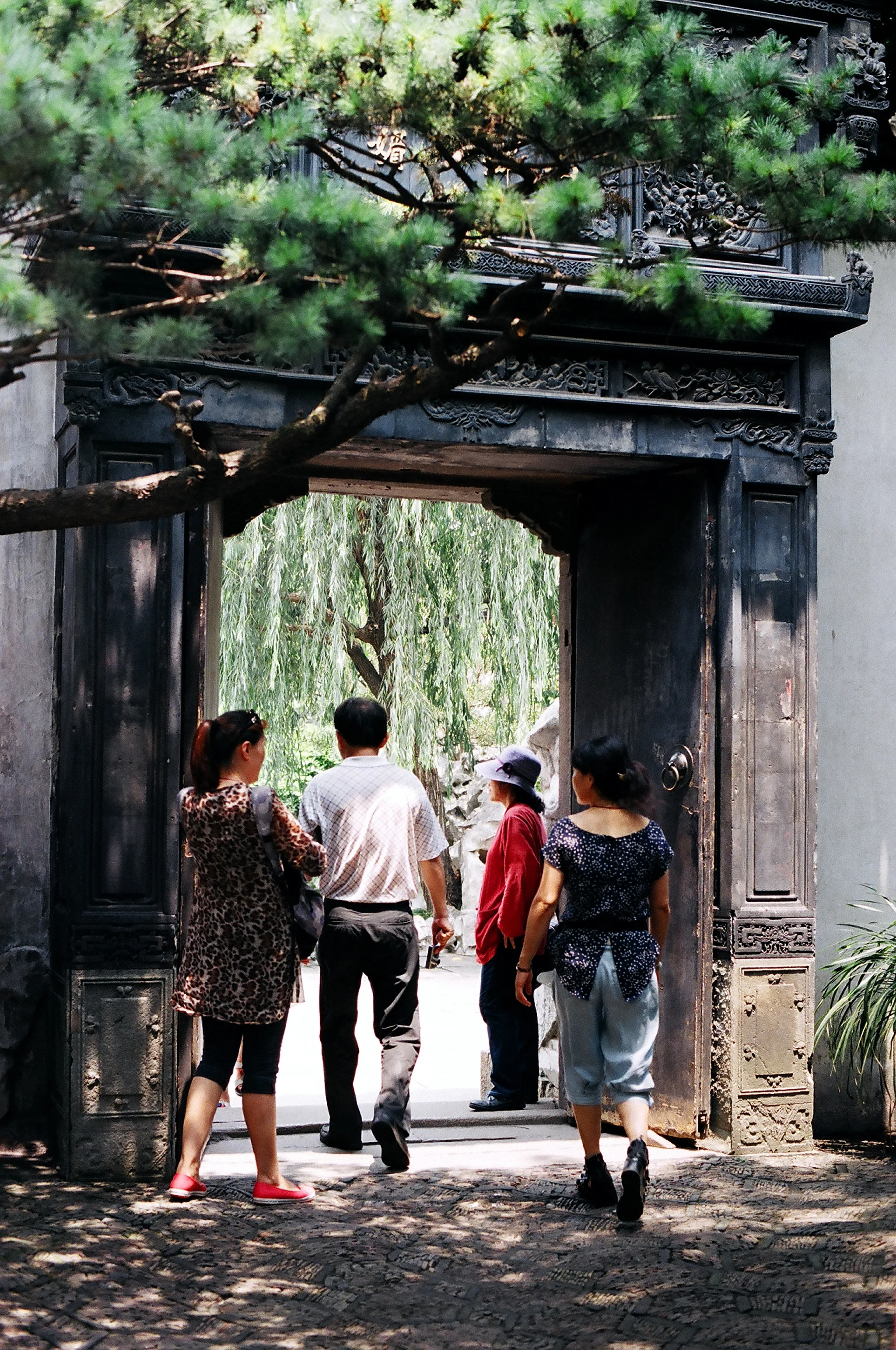 49680013-b.jpg