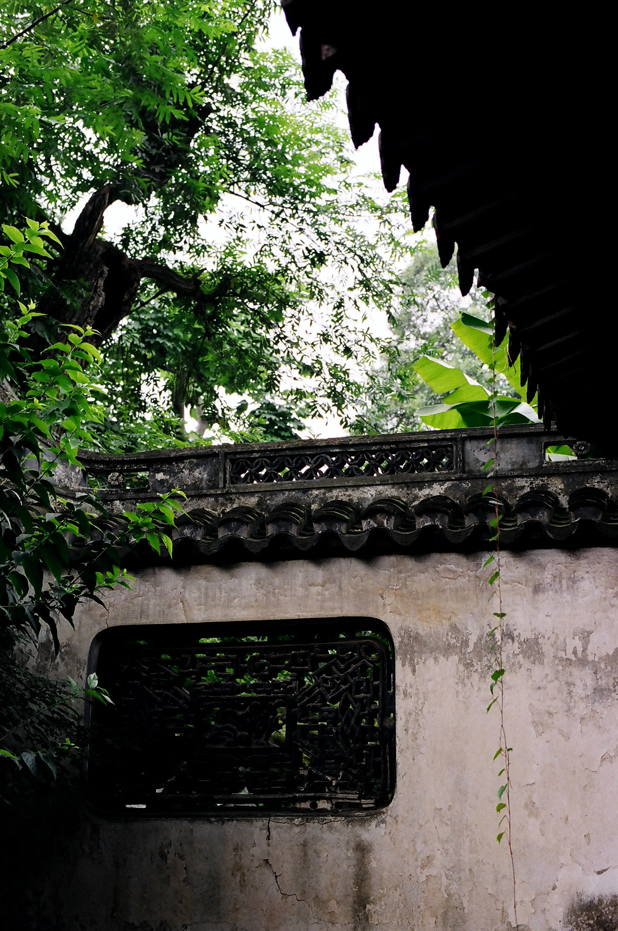 49670016-b.jpg