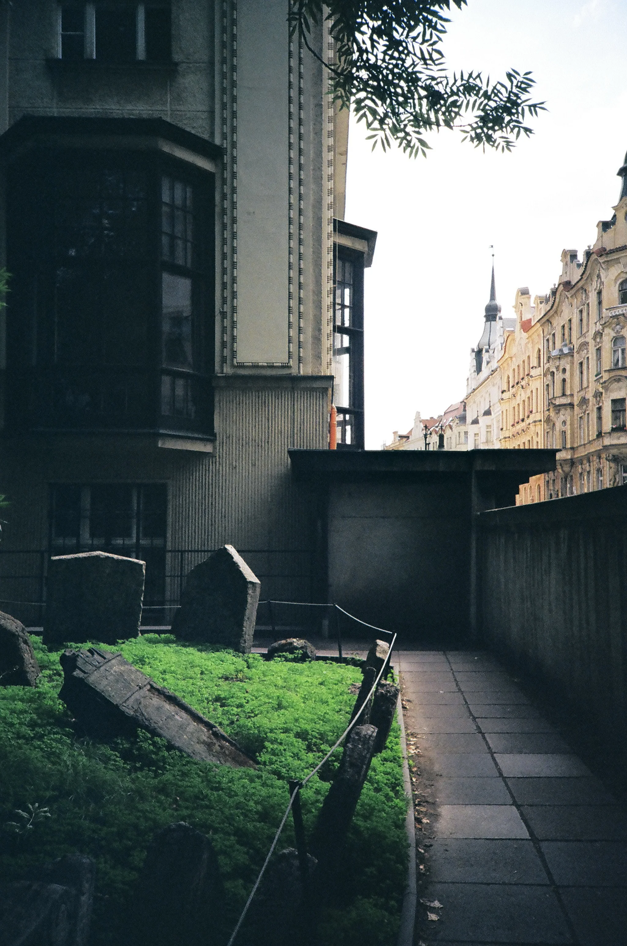 53060034-b.jpg