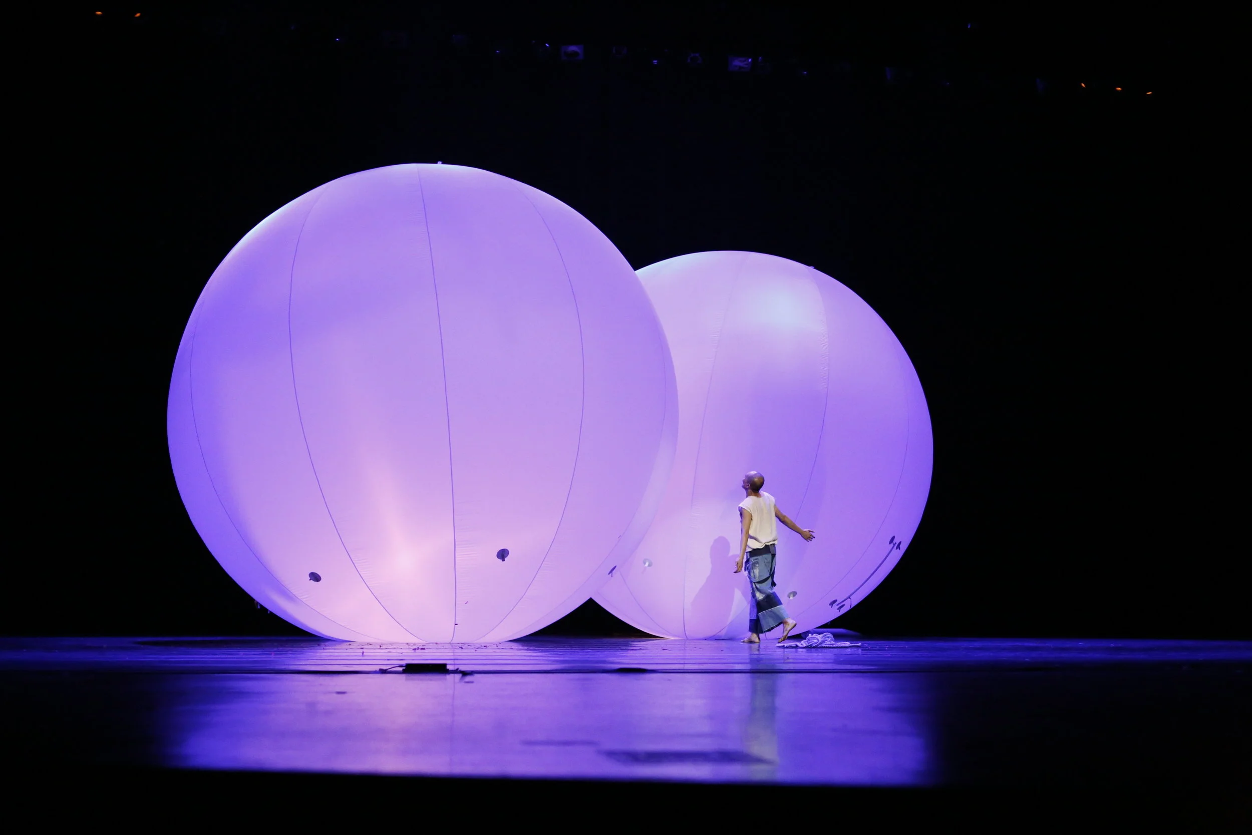 Explosion inside a whale's belly, 2016 Oct