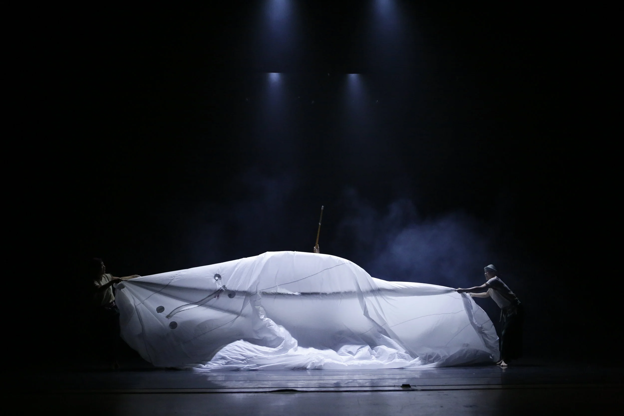 Explosion inside a whale's belly, 2016 Oct