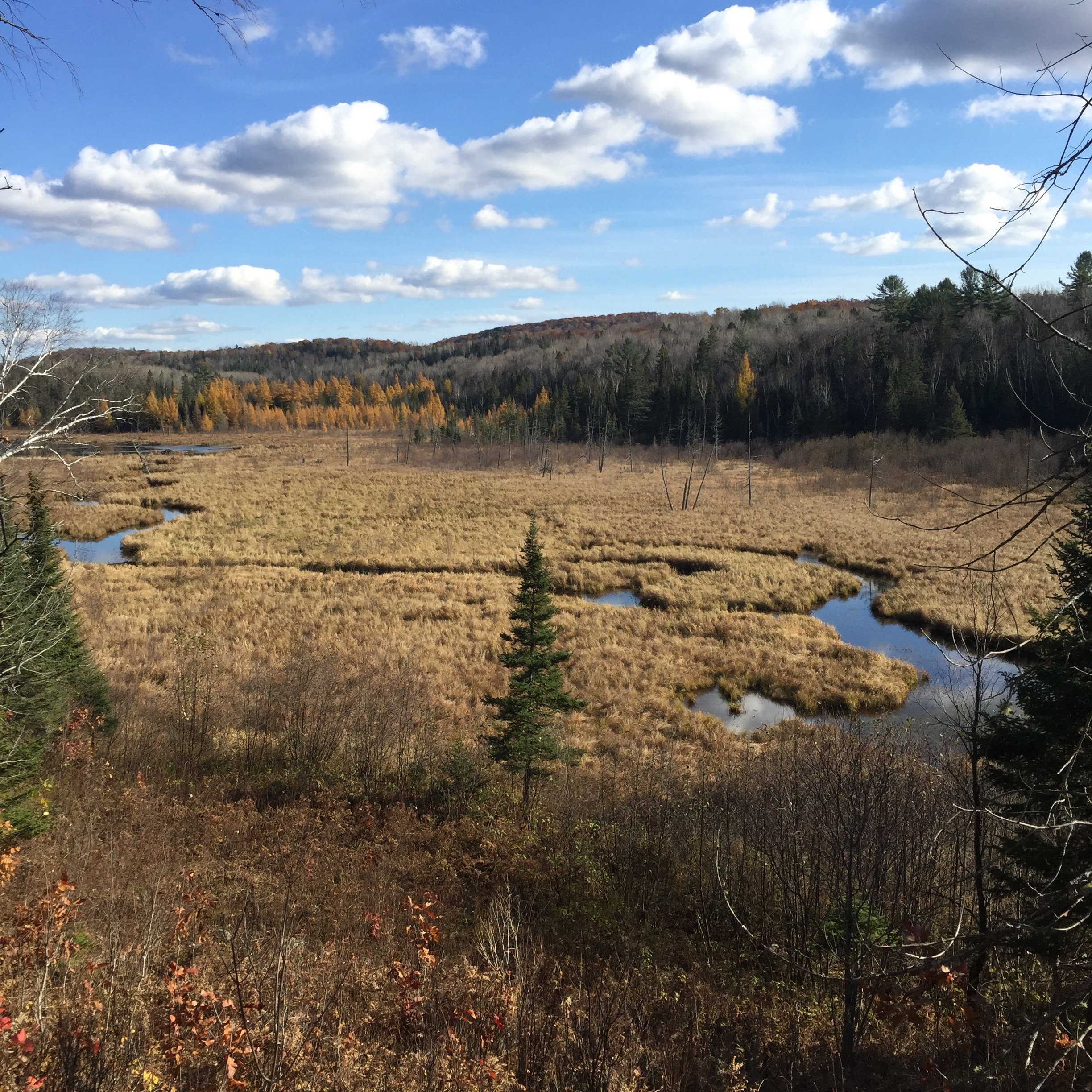 Le Terrain-The Land-Trails-Hiking-Biking-Ottawa-Quebec-Wilderness-offthegrid (Copy) (Copy) (Copy)