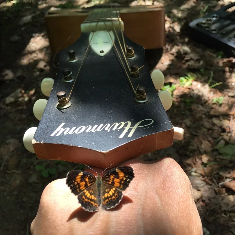 LeTerrain-TheLand-Wildlife-Ottawa-Quebec