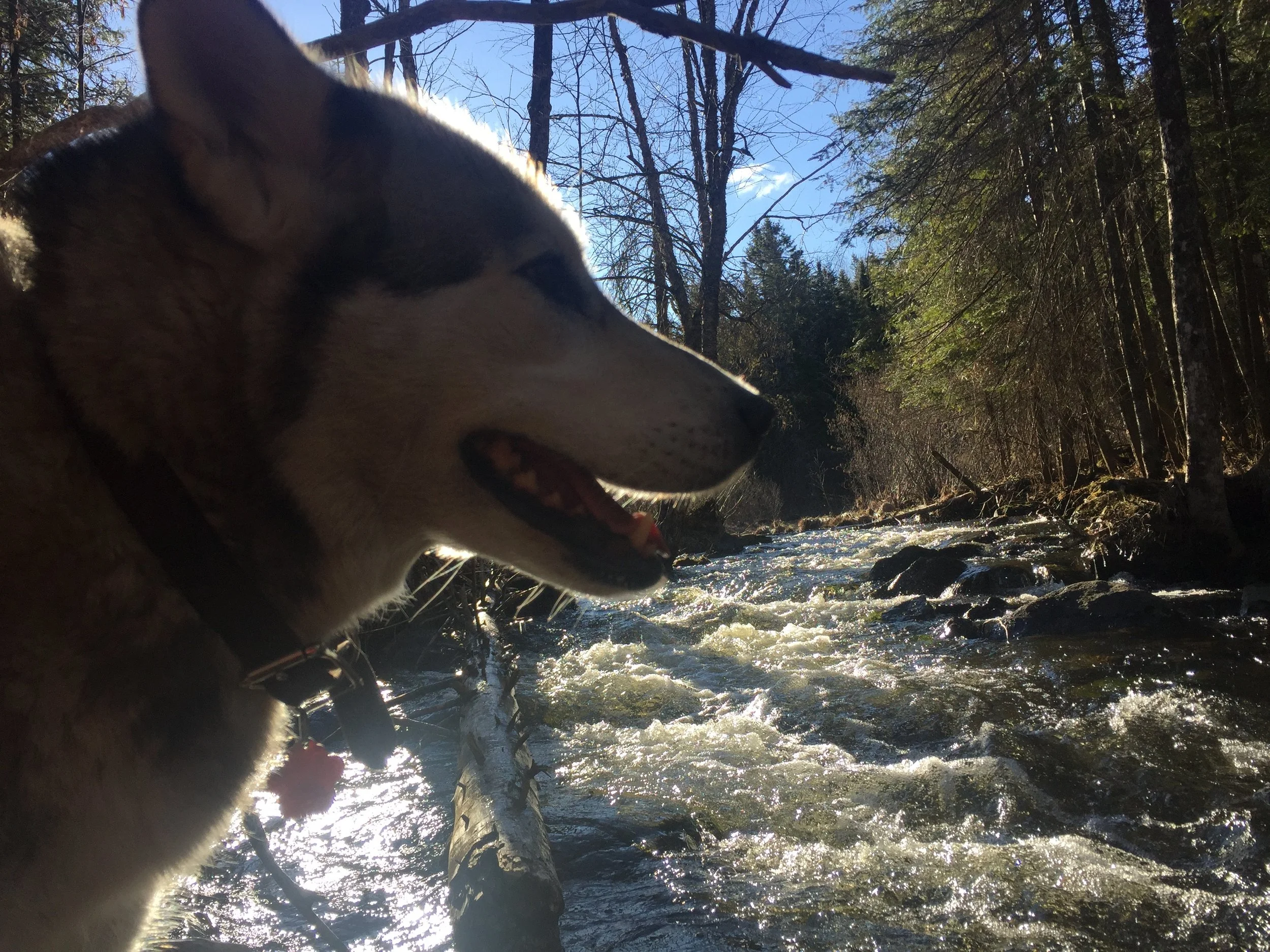 LeTerrain-TheLand-Hiking-Biking-Ottawa-Quebec