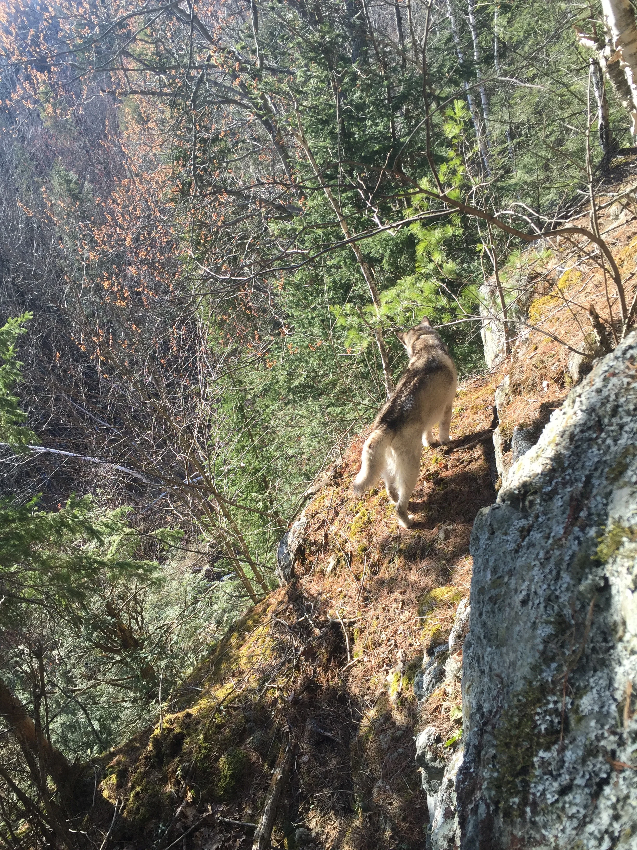 LeTerrain-TheLand-Hiking-Biking-Ottawa-Quebec