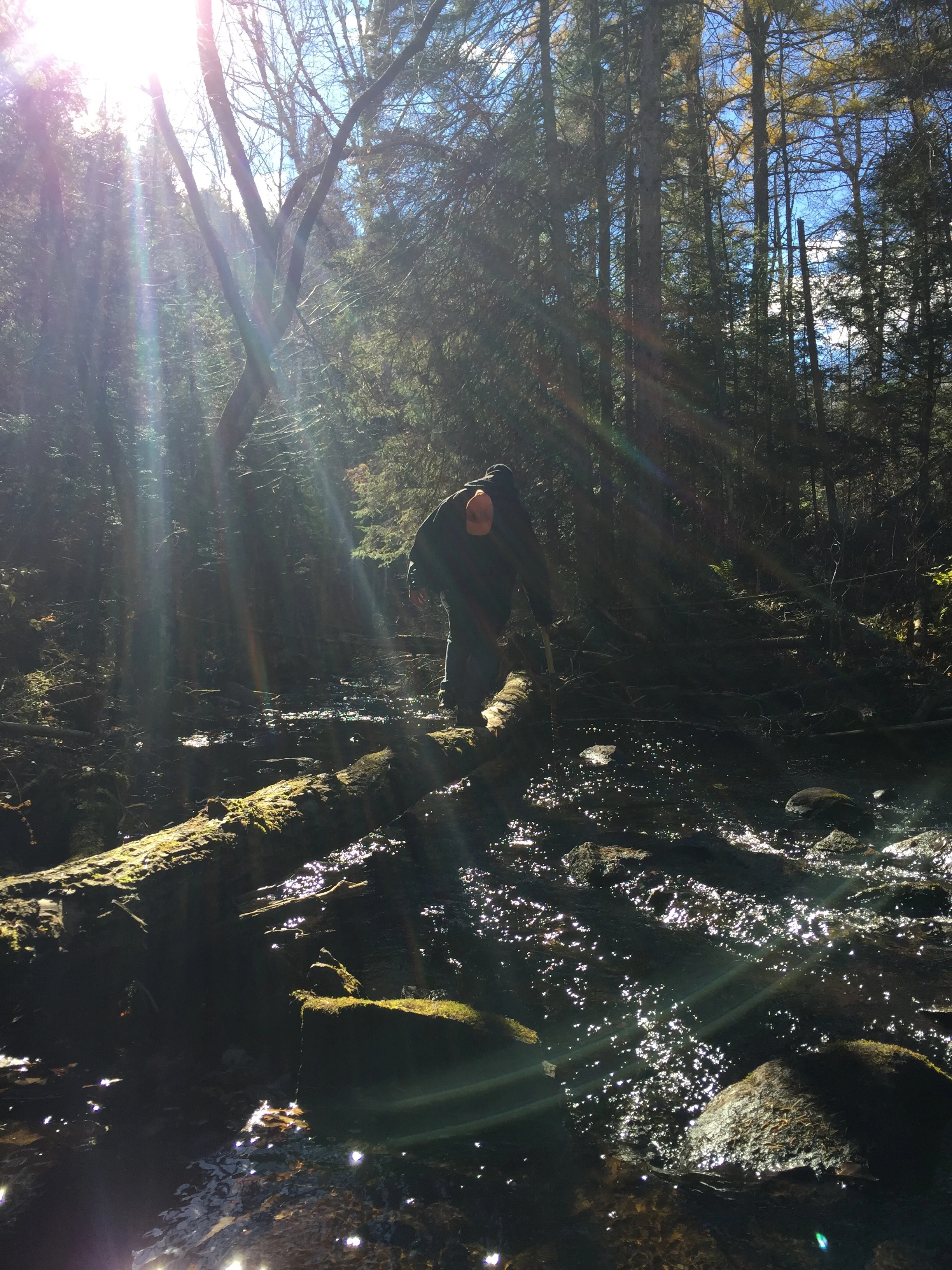 LeTerrain-TheLand-Hiking-Biking-Ottawa-Quebec