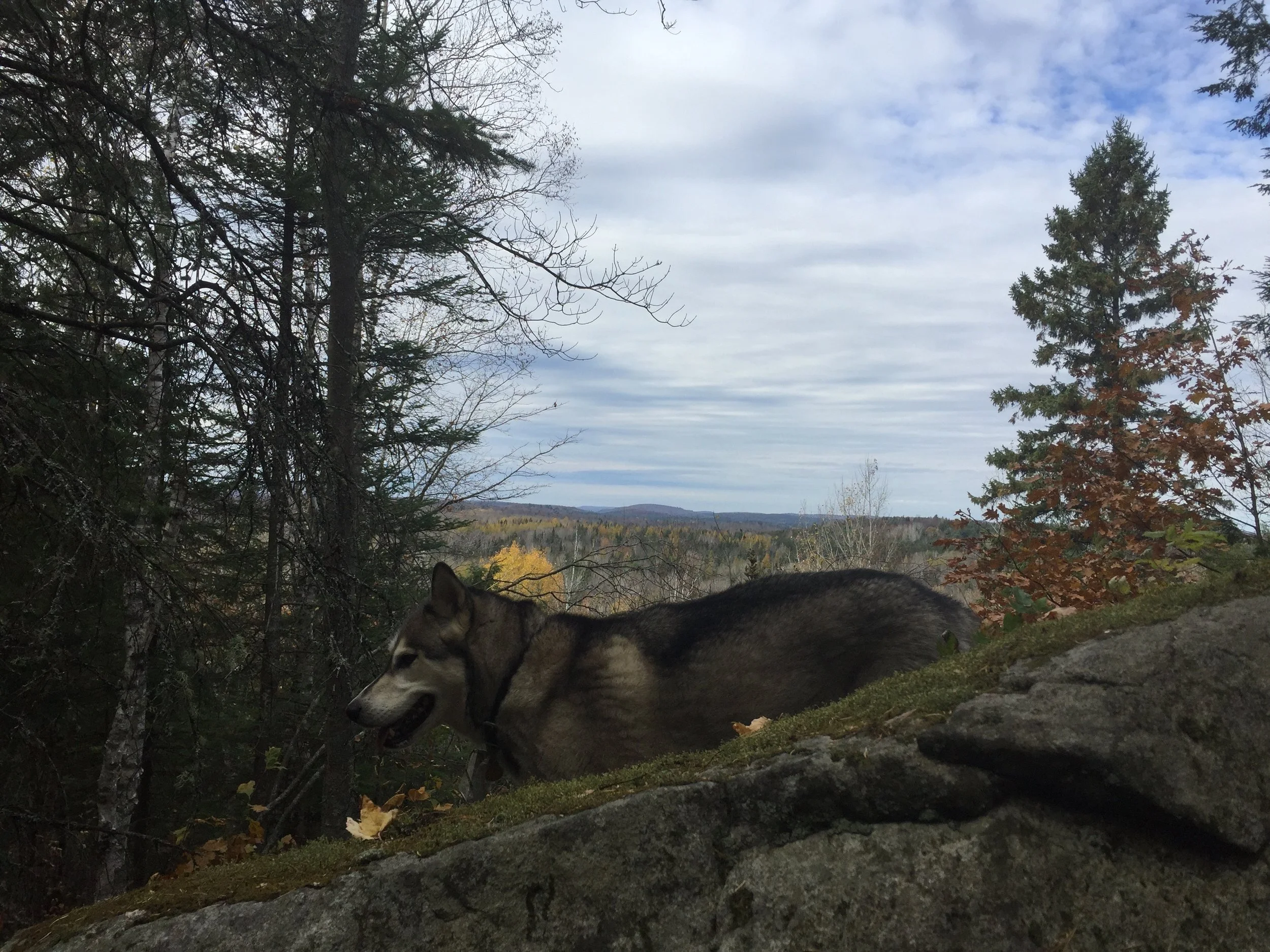 LeTerrain-TheLand-Hiking-Biking-Ottawa-Quebec