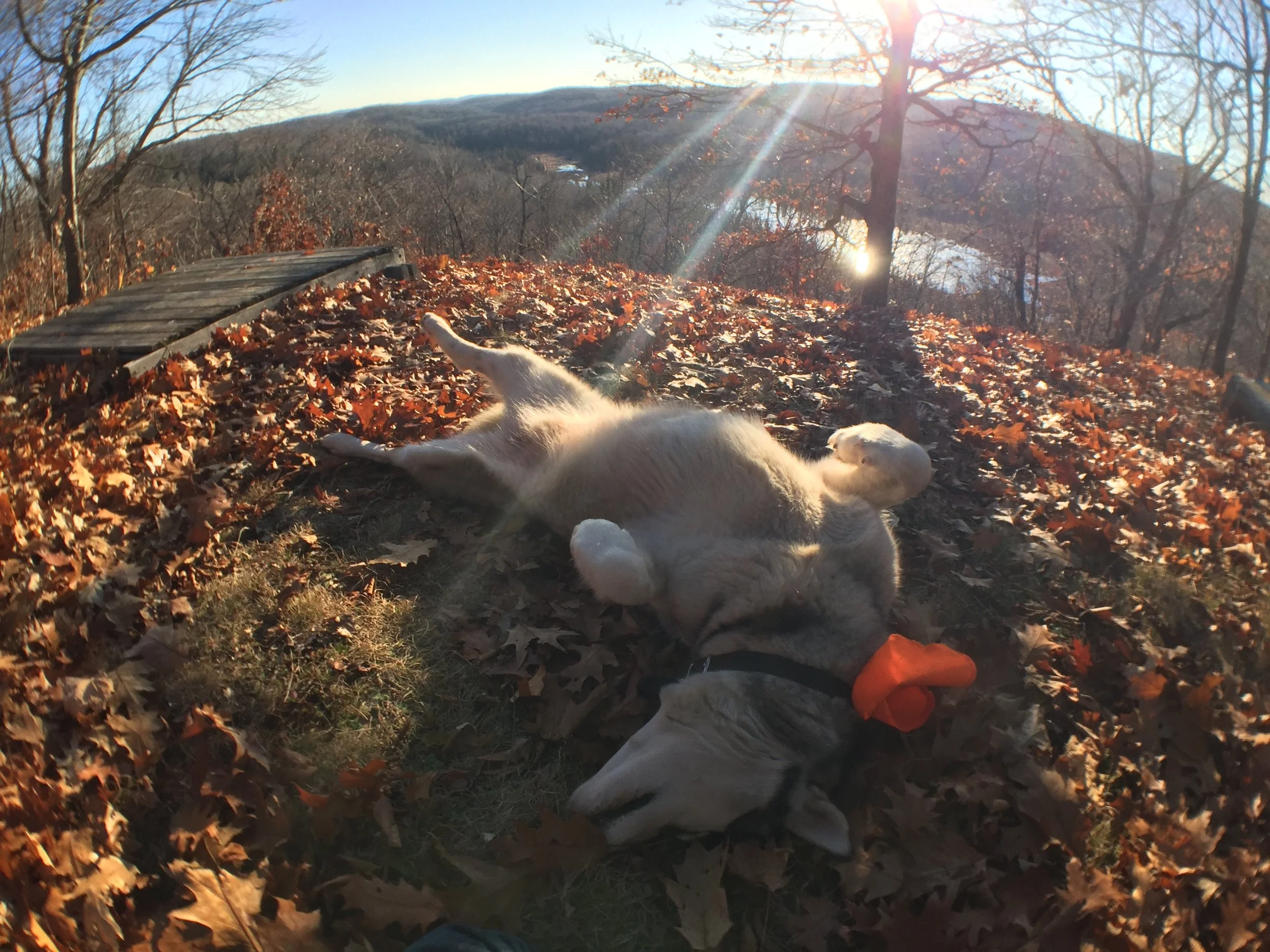 LeTerrain-TheLand-Hiking-Biking-Ottawa-Quebec