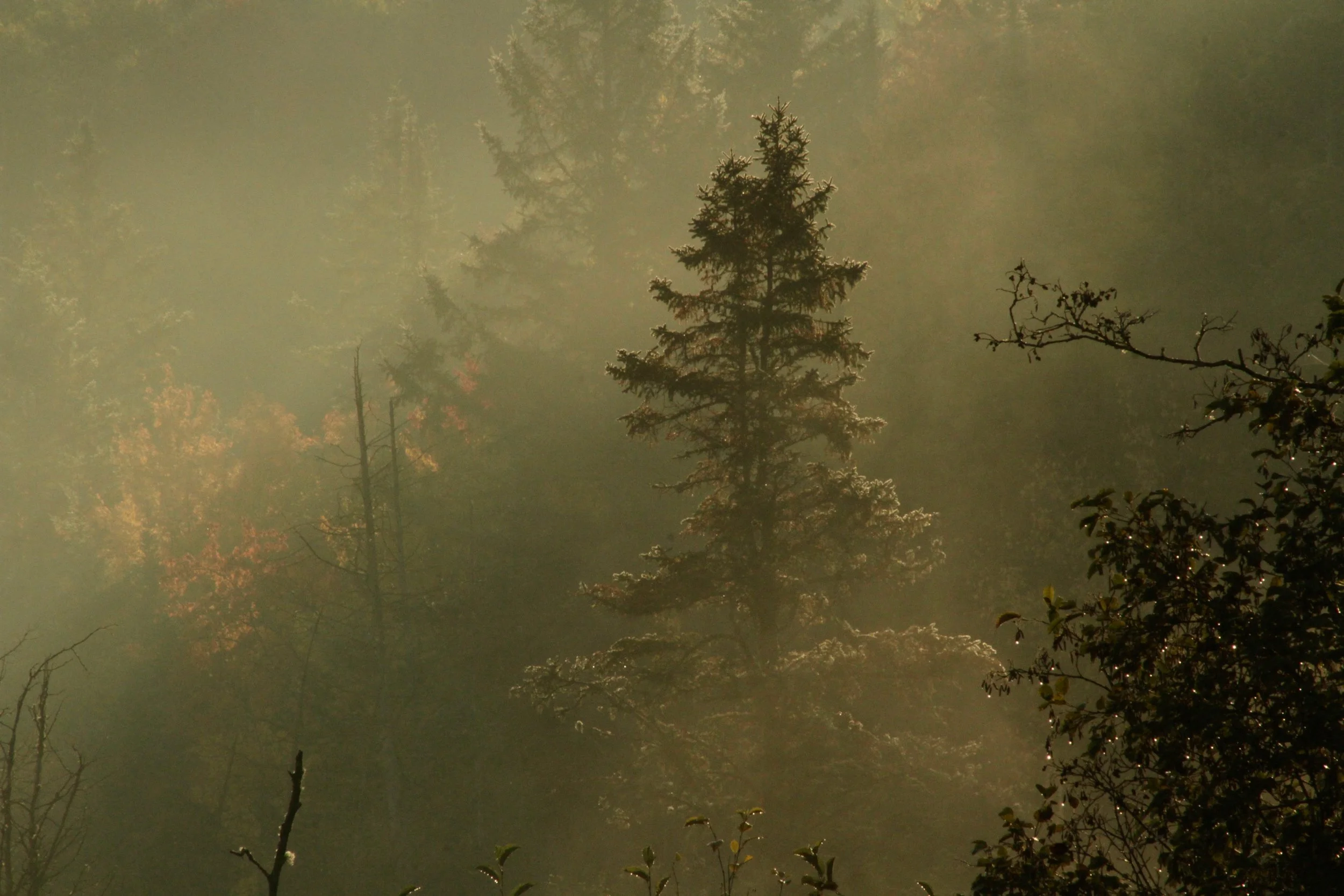 LeTerrain-TheLand-Hiking