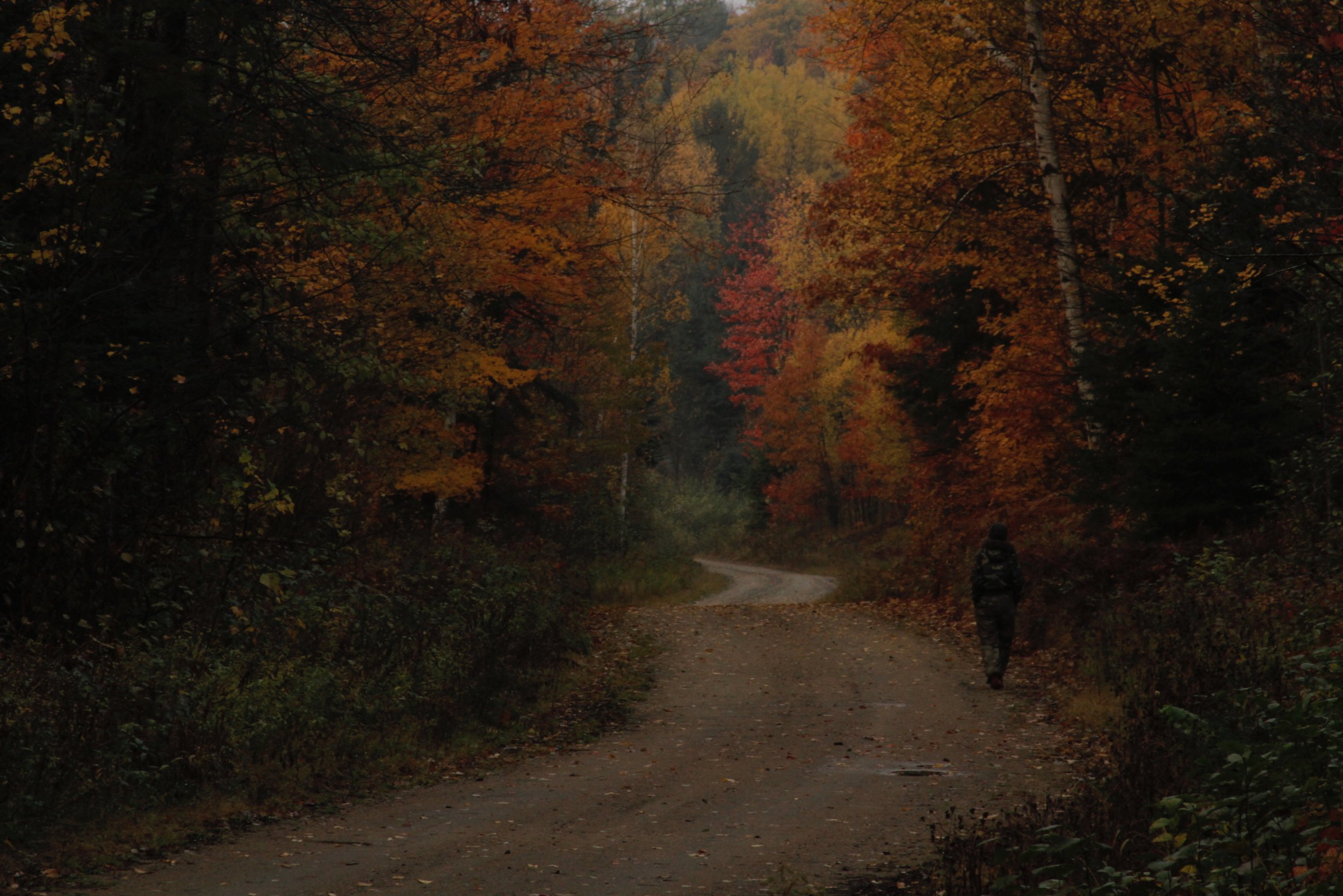 Le Terrain-The Land-Trails-Hiking-Biking-Ottawa-Quebec-Wilderness-offthegrid (Copy) (Copy) (Copy)