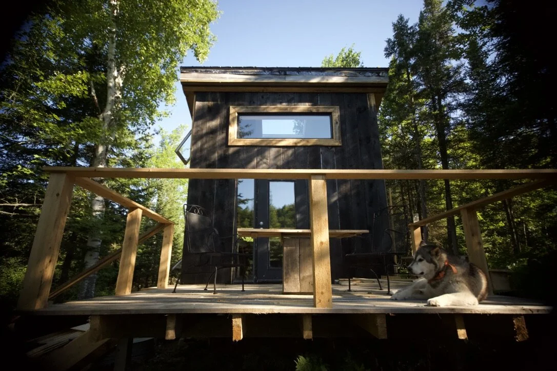 Stargate vu de la terrasse&nbsp;: rev&ecirc;tement sombre en bois br&ucirc;l&eacute;, une longue fen&ecirc;tre horizontale, la for&ecirc;t de tous c&ocirc;t&eacute;s