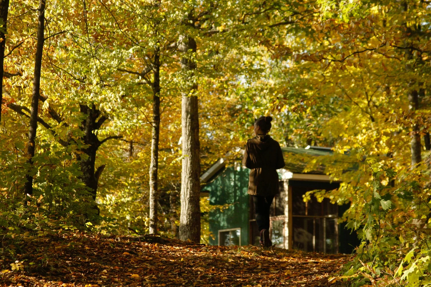 Une femme marche sur le sentier couvert de feuilles parmi les feuillus dorés d’automne, le chalet vert et sa galerie couverte tout juste visibles devant