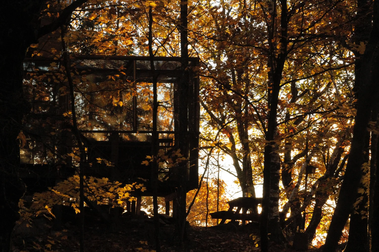 Le chalet à travers les branches d’automne au coucher du soleil, sa galerie éclairée par l’arrière, une table de pique-nique sur la pente à côté