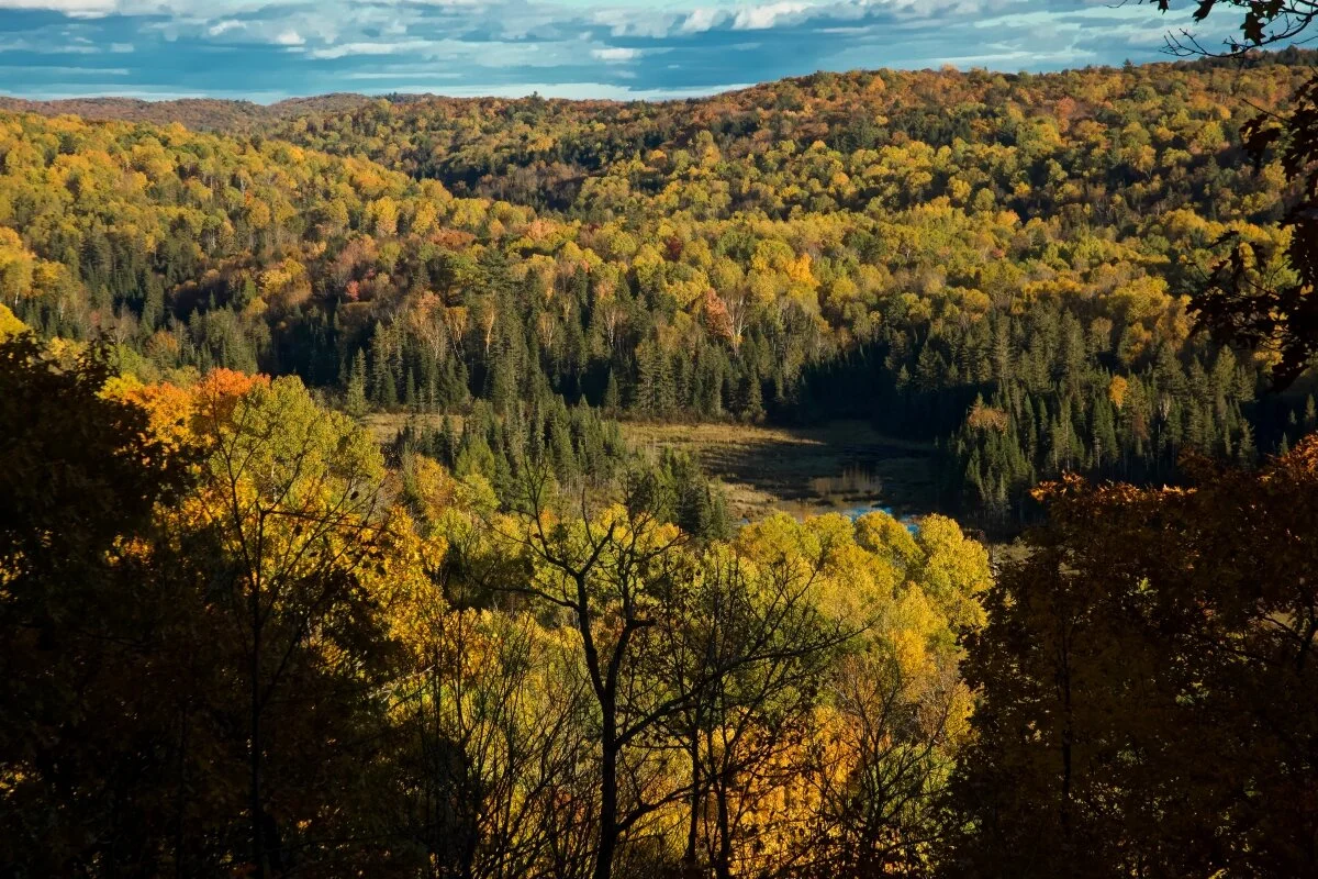 La vallée depuis la falaise en automne : forêt mixte jusqu’aux collines lointaines, la rivière qui serpente dans le marais au centre
