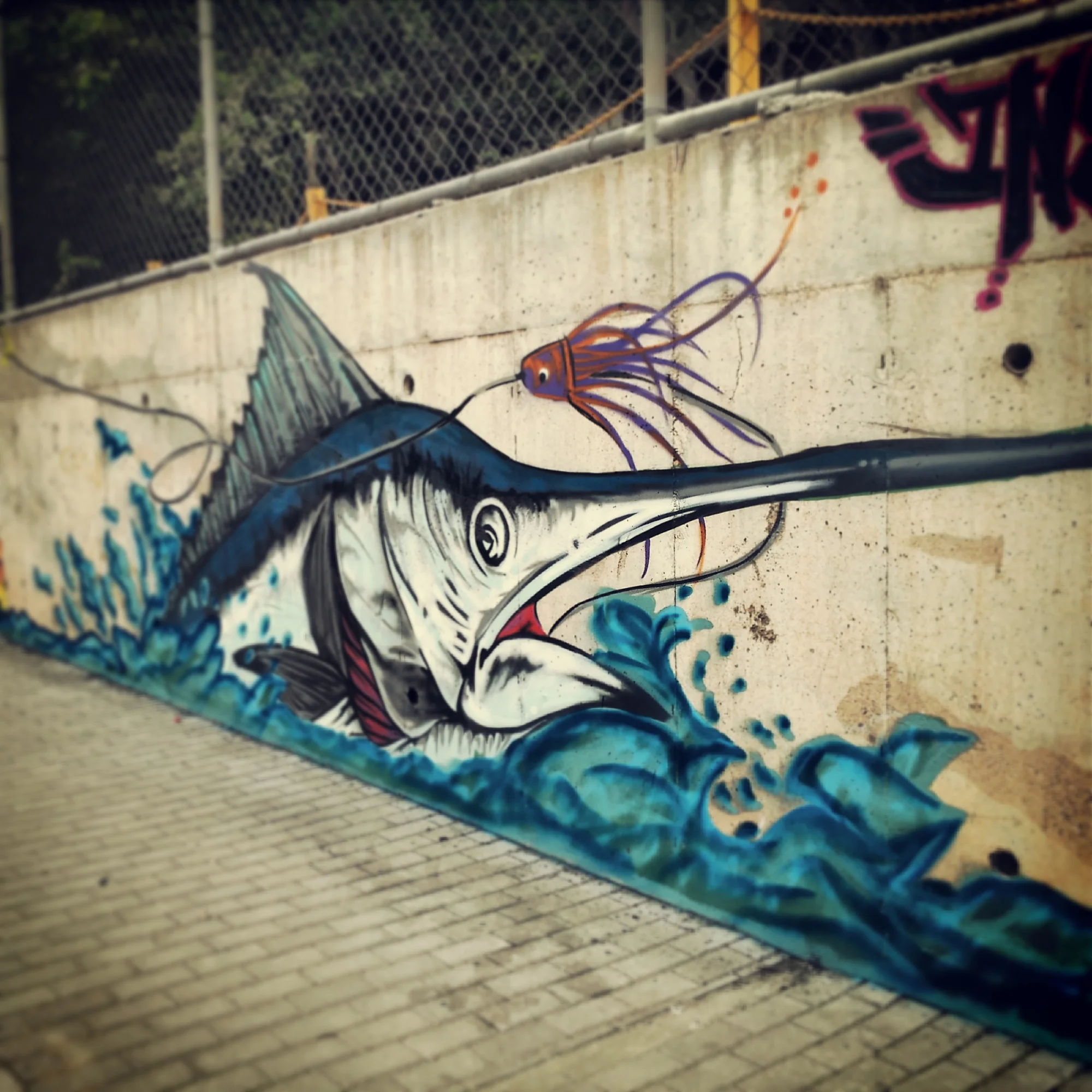 marlin.jpg