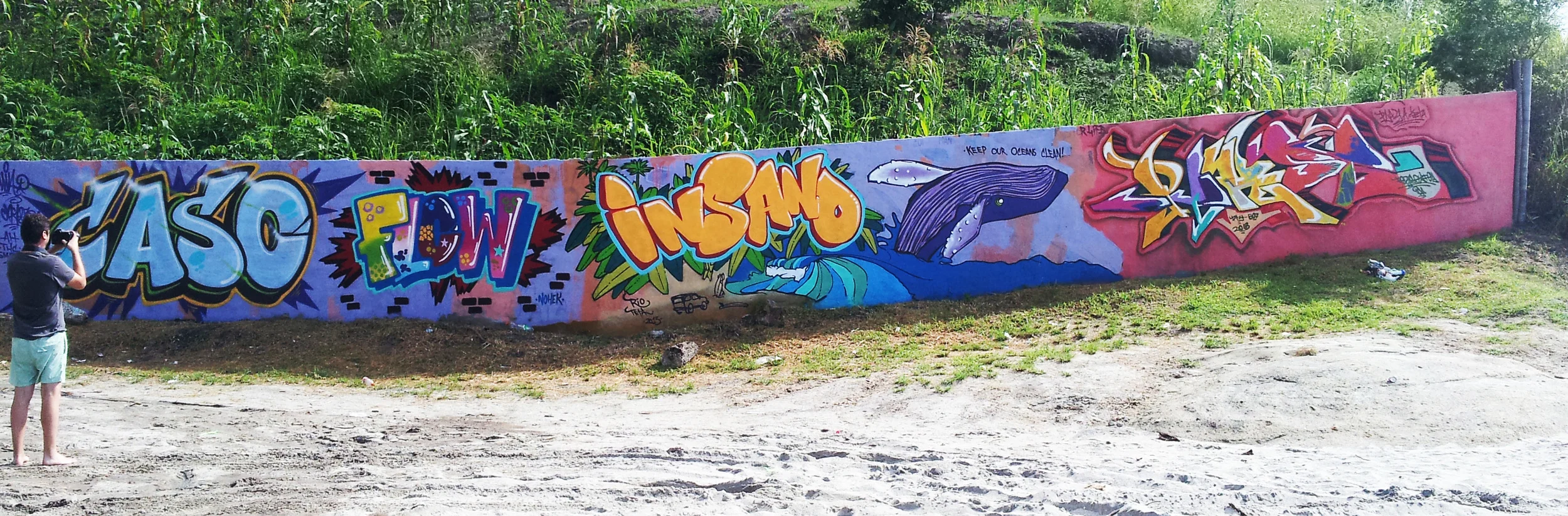 Beach Mural, Rio Teta- Panama.