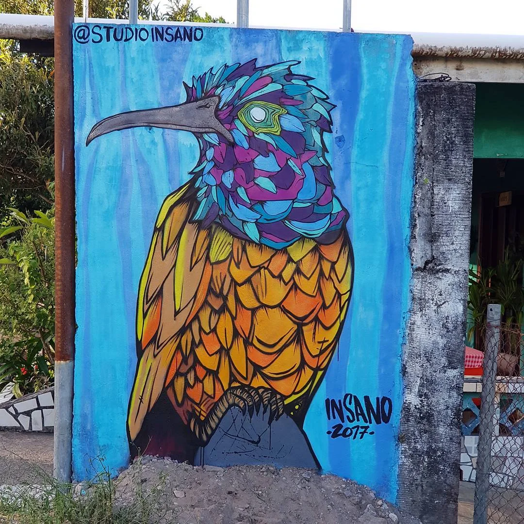 Orange-Breasted SunBird 2017
