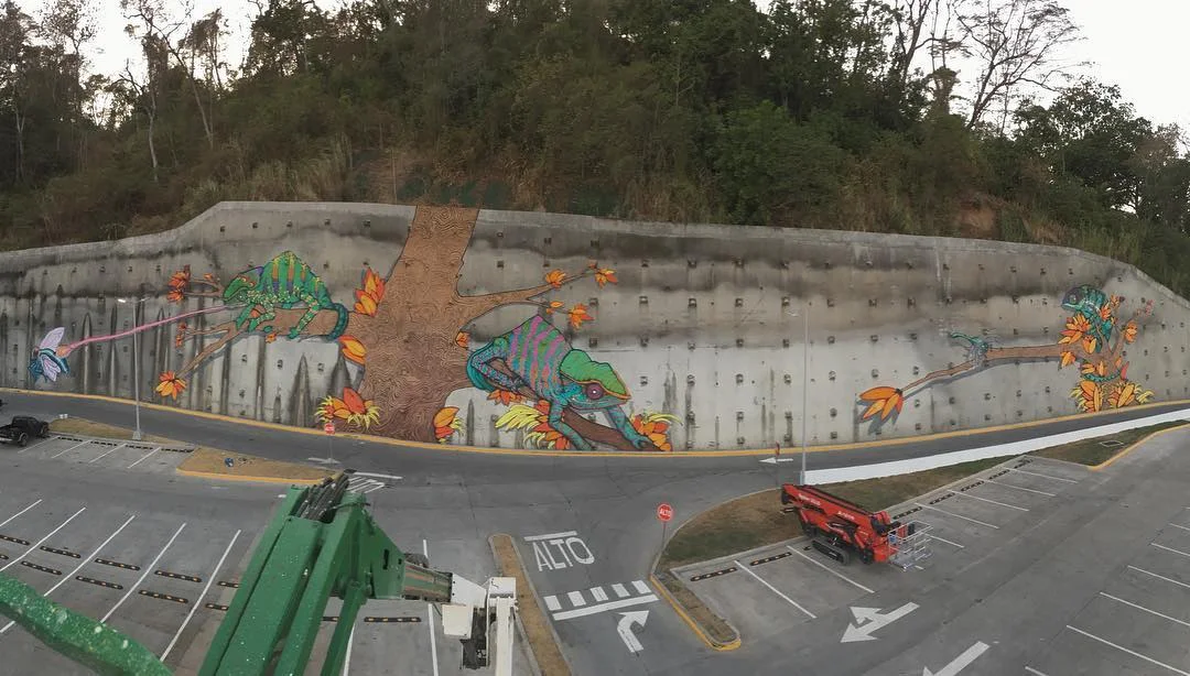 Alta Plaza Mall Mural