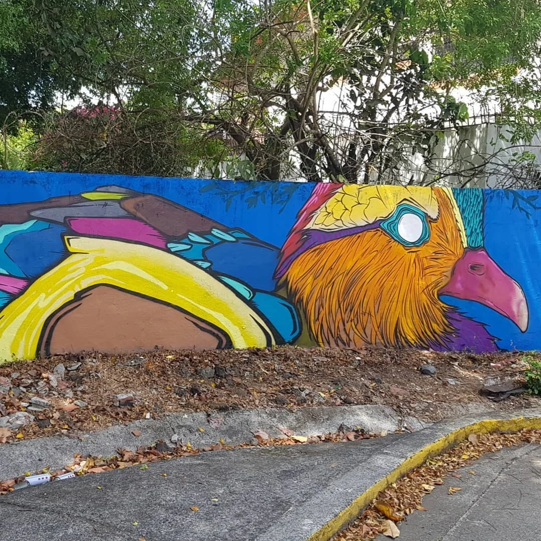DUCK ALAMEDA 2018