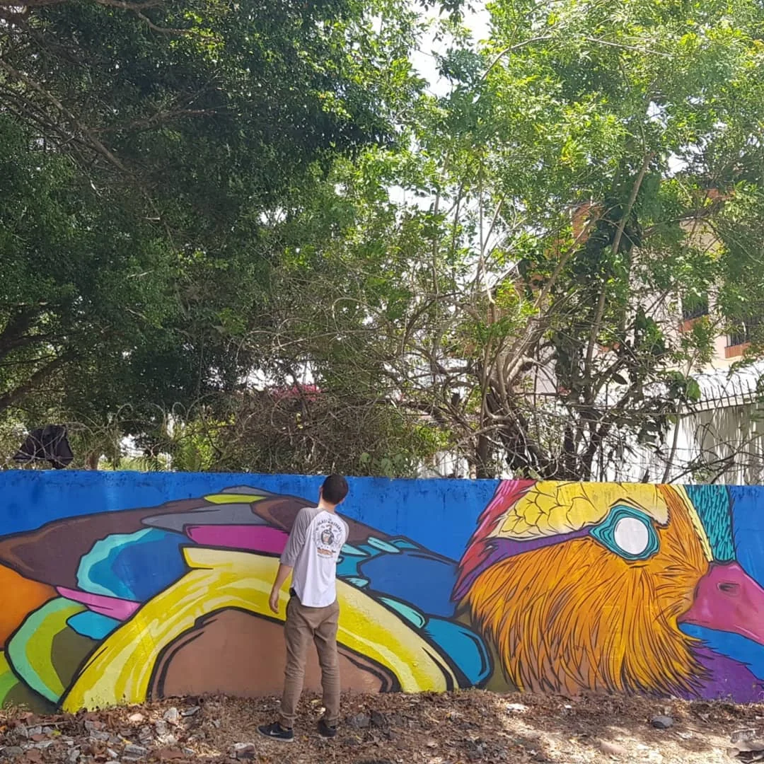 DUCK ALAMEDA 2018