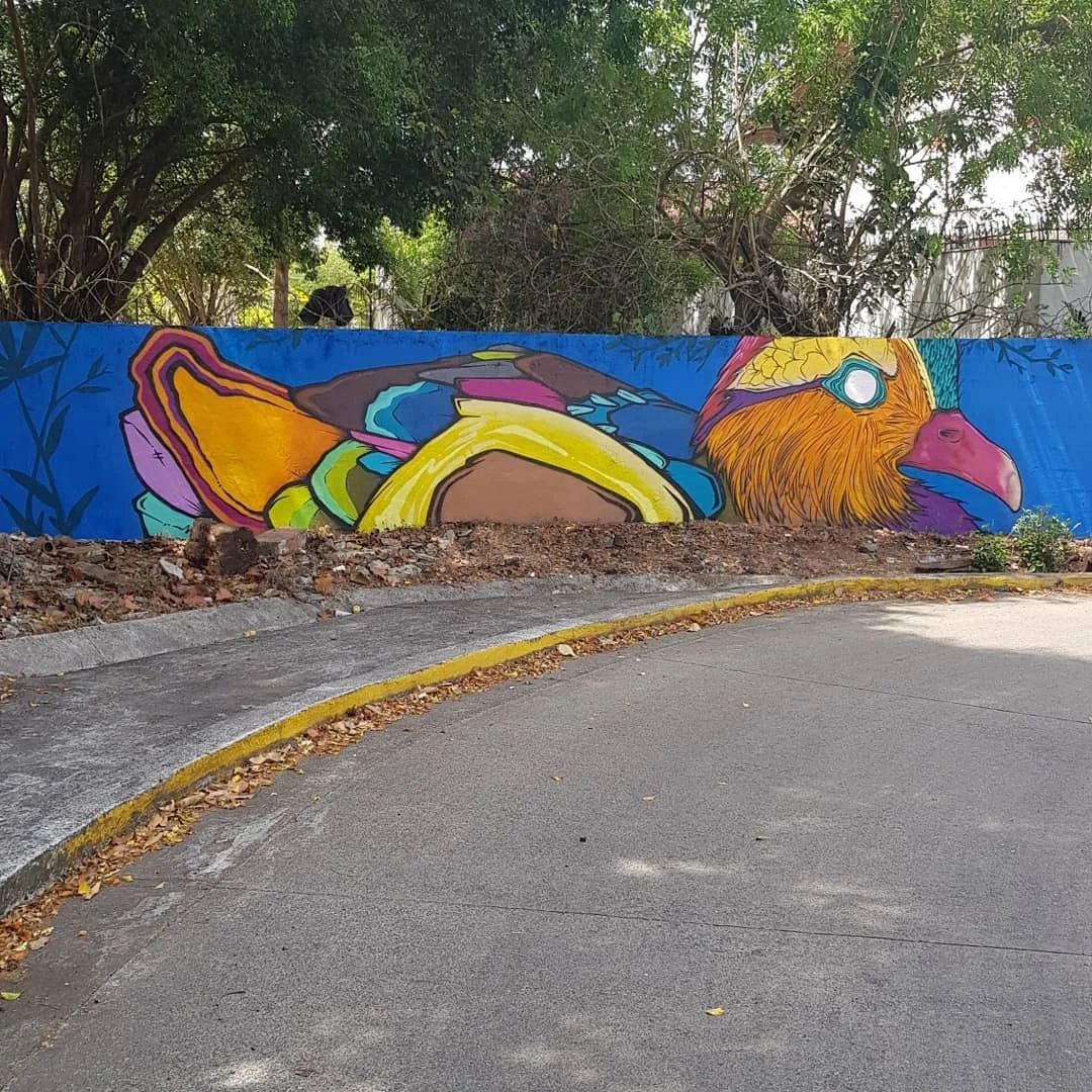 DUCK ALAMEDA 2018