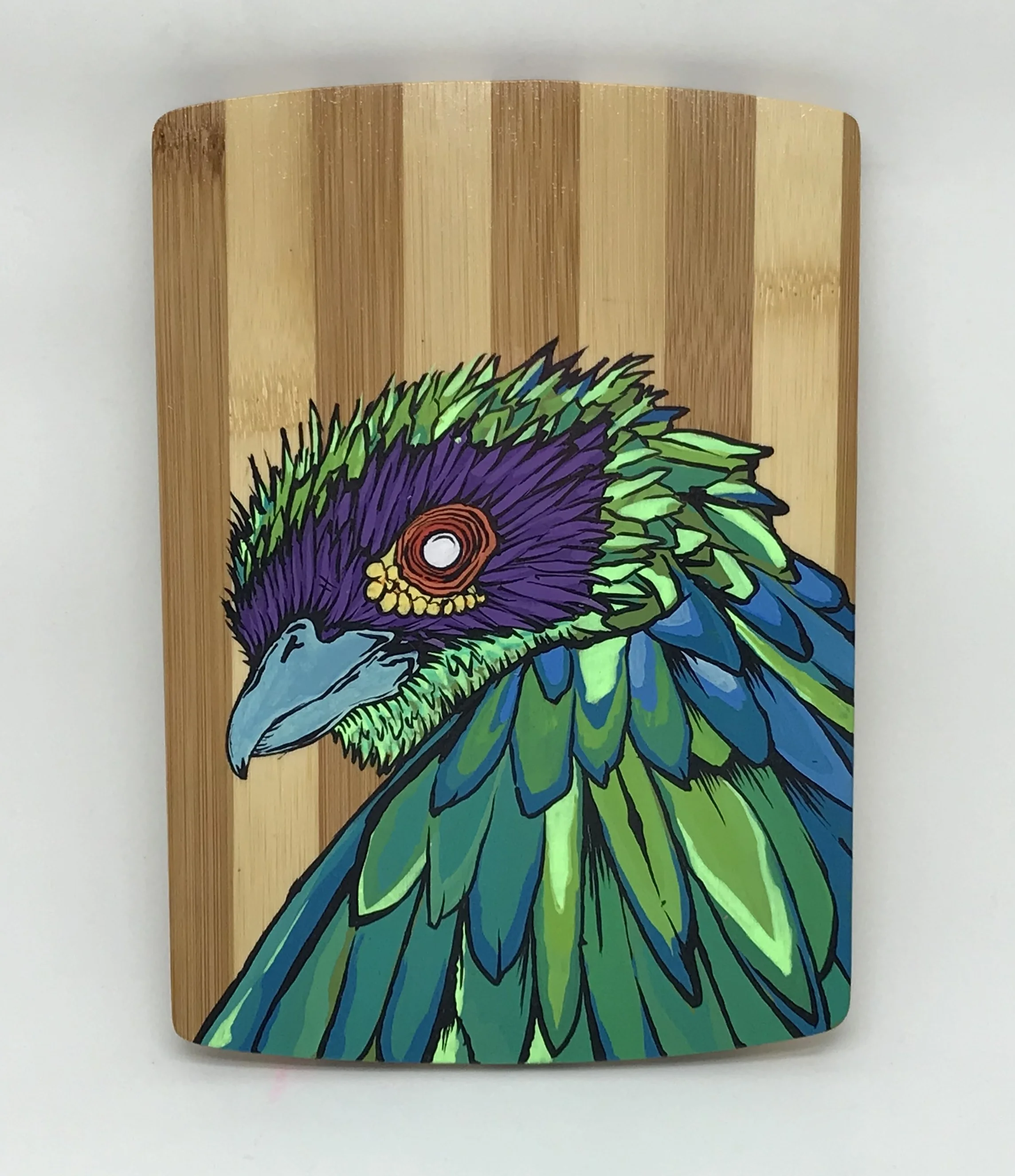 SHY BIRD