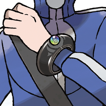 Mega Ring Boy Trainer_Official Art_300dpi.png