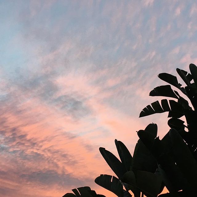 Former coral sunsets, and stuff. 💭
&bull;
Sounds like 🔊🎶 &ldquo;Sunlight&rdquo; by The Wild Wind
&bull;
&bull;
&bull;
&bull;
&bull;
#sunsets #sunset #contrast #instagood