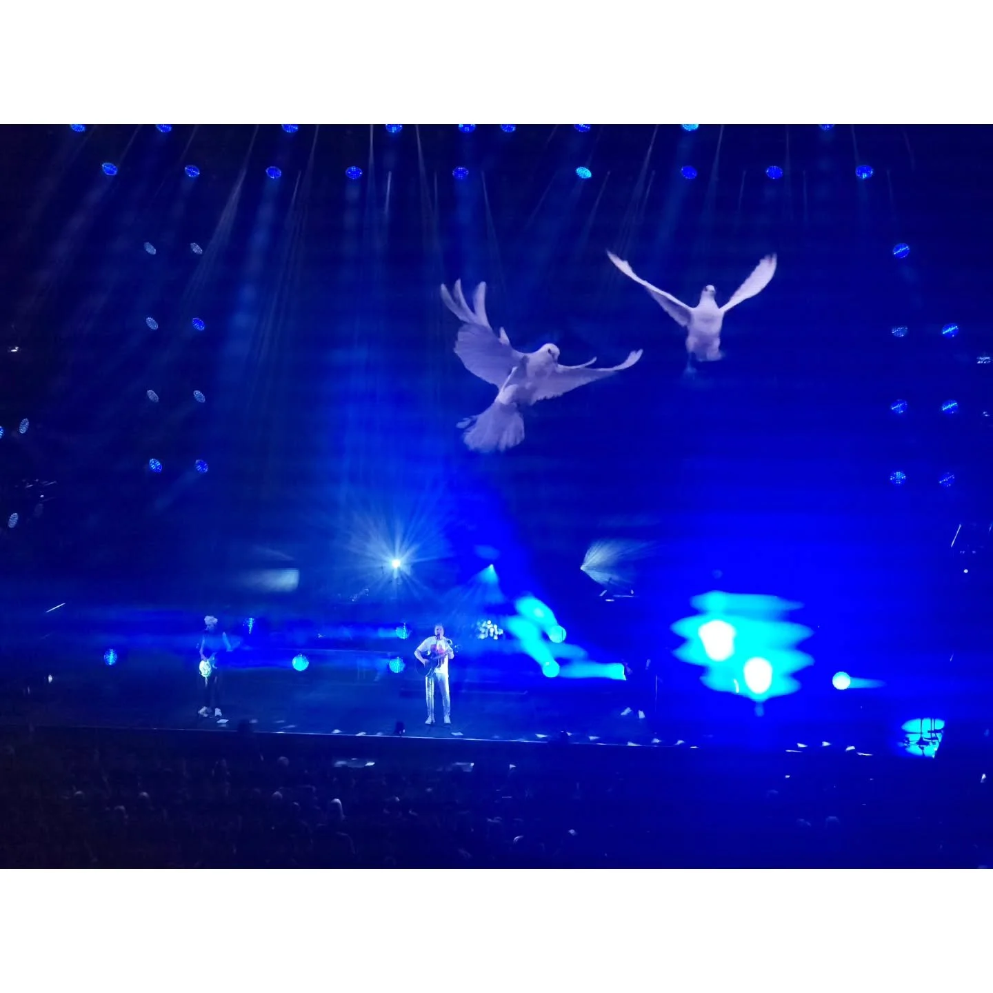 A magical night seeing Duran Duran in San Diego at the Viejas Arena with friends. It was a great show!

#duranduran #concert #concerts #sandiego #viejasarena