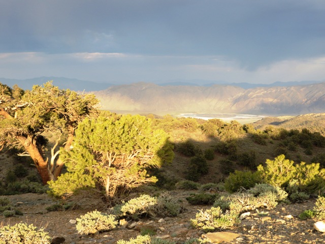 Deep Springs Valley