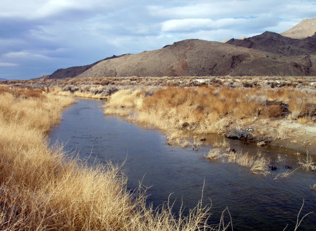 Owens River is being restored near the Blackrock Fish Hatchery
