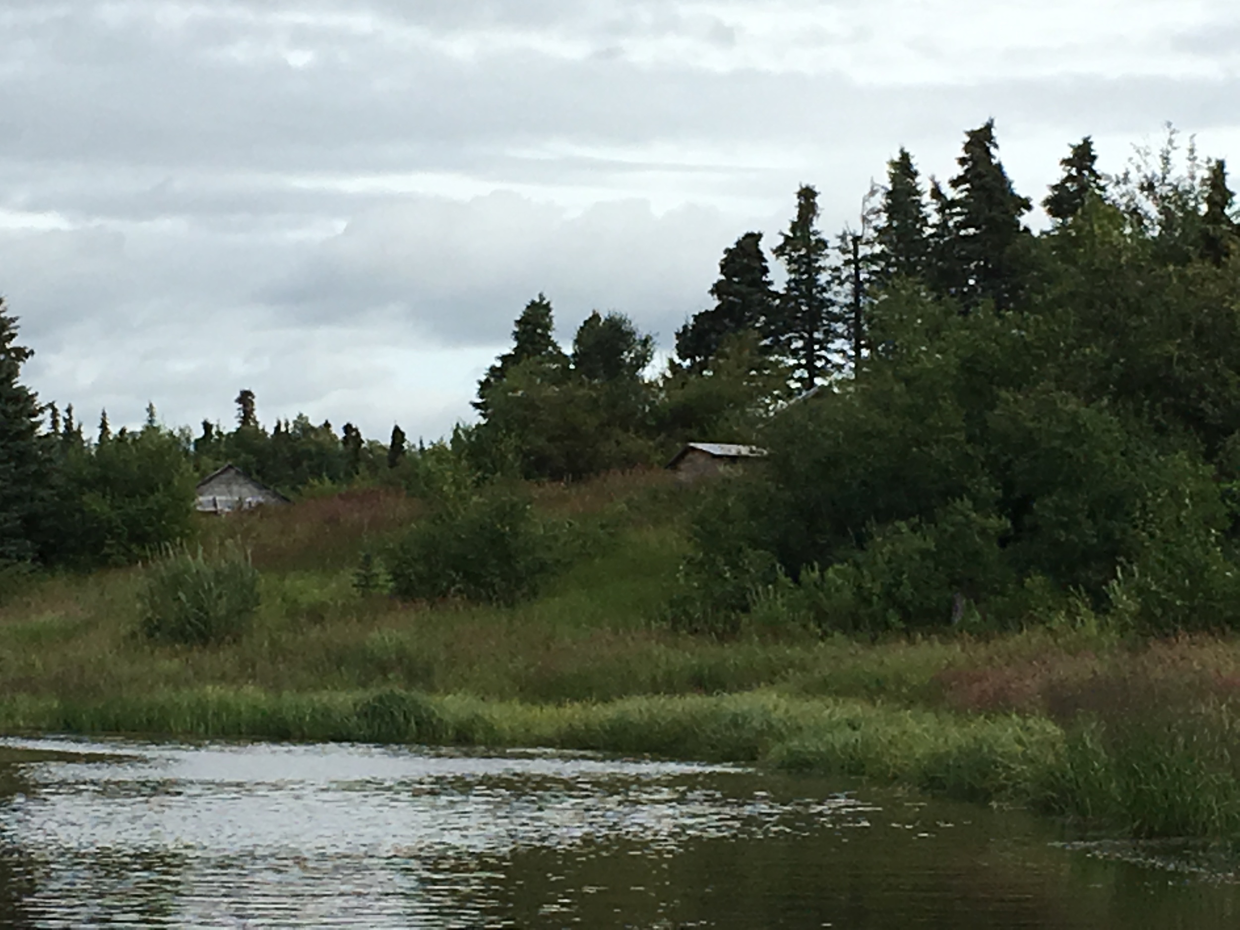 Abandoned shacks on the Kvichak River
