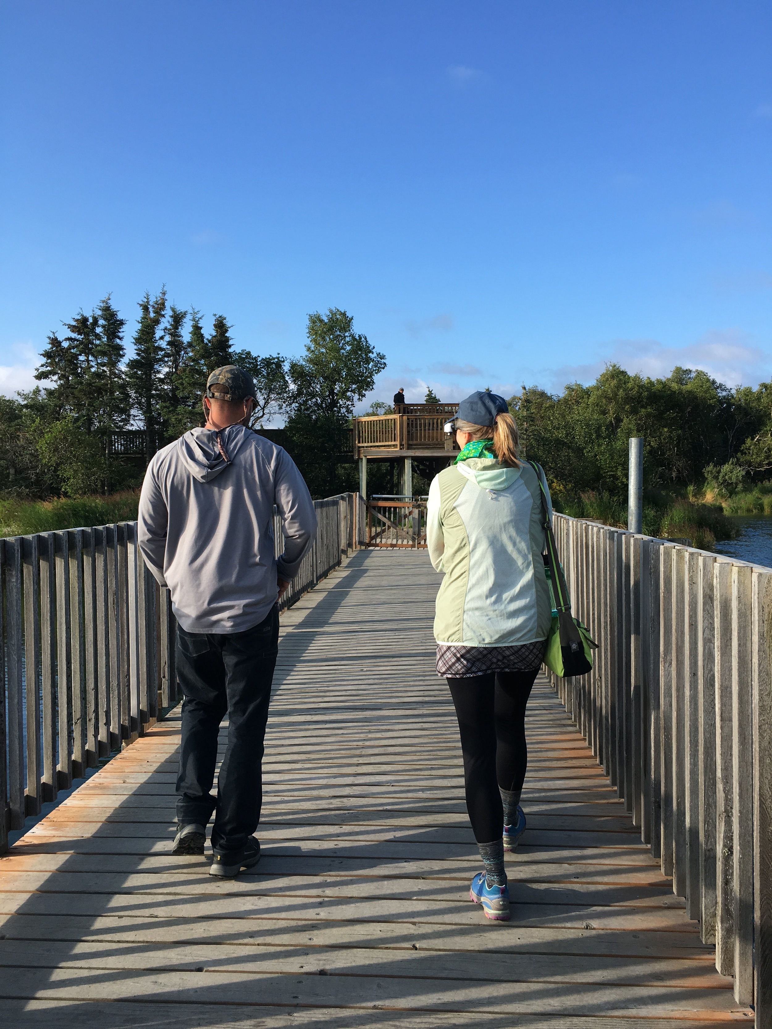 After bear school, visitors cross a bridge to catch the trail to Brooks Falls.